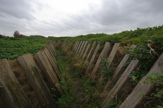 World War 2 Trench