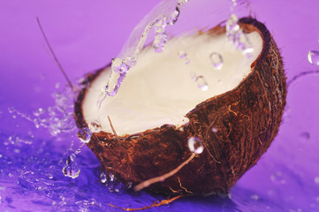 coconut with water splash