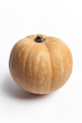 One whole Orange pumpkin