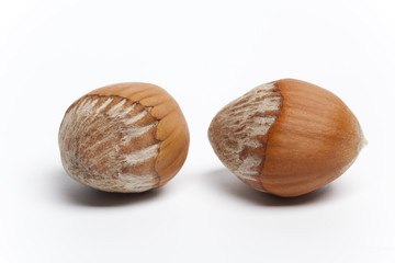 Two hazelnuts