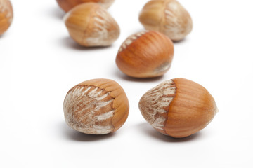 Hazelnuts on white background