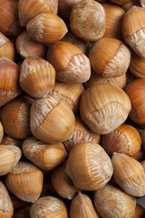 Full frame hazelnuts