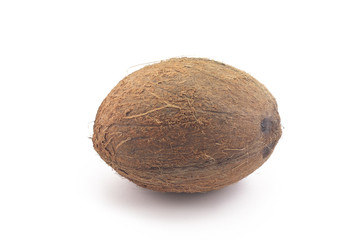 coconut lying on a white background