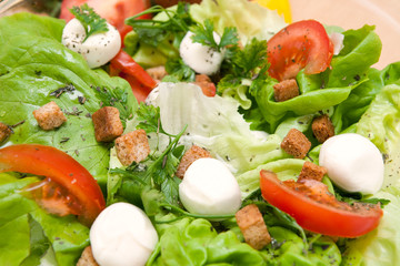 fresh salad