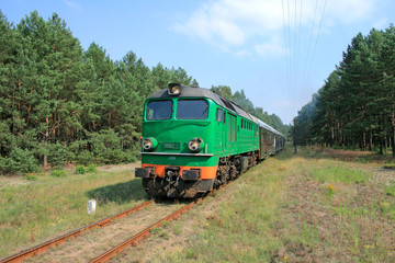 Fototapeta premium Passenger train passing through the forest