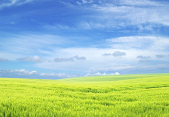 Obraz premium landscape