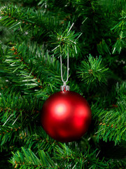 Fototapeta na wymiar Christmas Tree Ornament