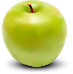 vector fresh green apple