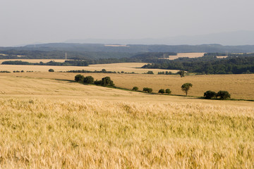 Fototapeta na wymiar acre and hils - middle slovakia