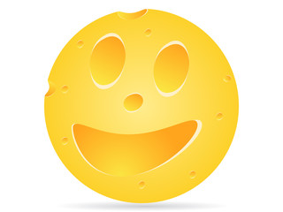 piece of cheese vector illustration