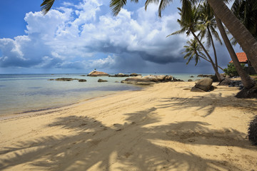 Tropical beach. © Stephane BENITO