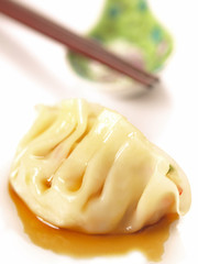 asian steamed dumplings
