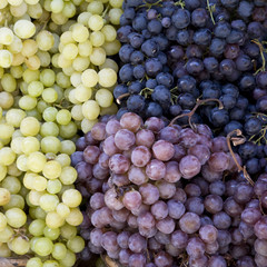 Grapes