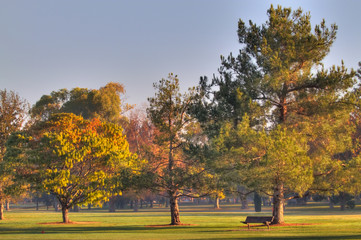 Golf Course Greens Bench HDR