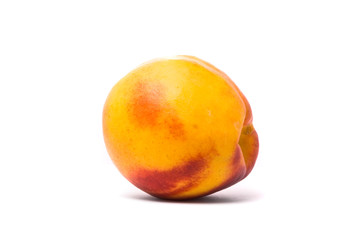 One beautiful juicy nectarine