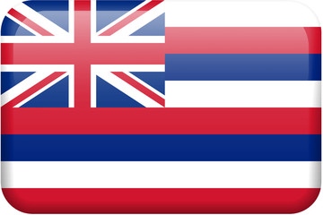 Hawaii Flag Button