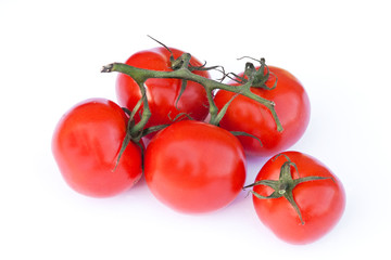 Sprig of tomatoes