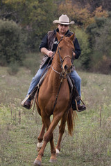 Fototapeta premium cavalier dans la nature