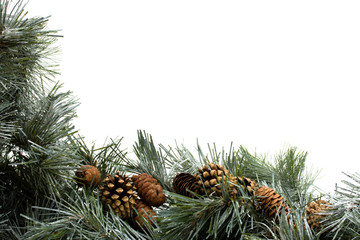Obraz premium Garland Border