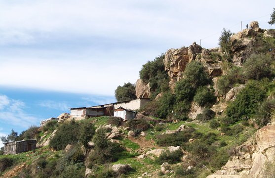 taudis