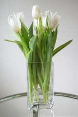 weiße Tulpen mit grünem Stängel