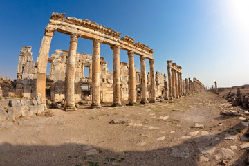Syria - Apamea