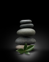 Fototapeta na wymiar Zen ogród zen, kamienie na czarnym tle, zielone liście