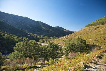 Obraz premium gredos mountains in autumn