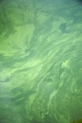 green water