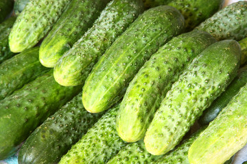 Organic green cucumbers