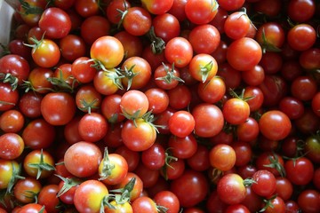 Abstract texture pattern of red cherry tomatoes