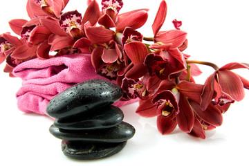 Fototapeta na wymiar spa stones with red orchid over white background