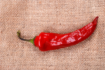 Red hot chili pepper on a sackcloth