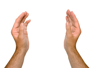 Hands isolated on white background