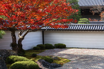 Jardin japonais en automne (Nanzen-ji temple a Kyoto)