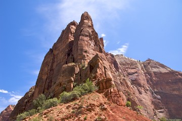Fototapeta premium Colourful rock formations in Zion National Park