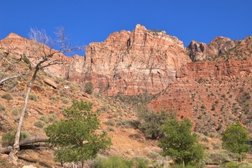 Colourful rock formations in Zion National Park