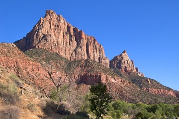 Colourful rock formations in Zion National Park