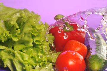 tomatoes, cucumber and splashes