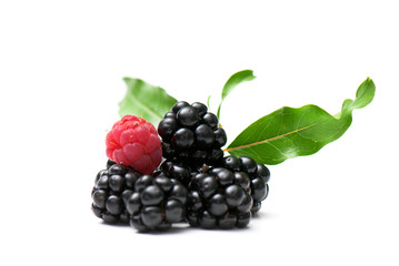 blackberry and raspberry