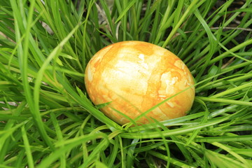 Ein gelbes Osterei im Gras