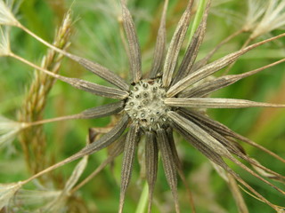 OLYMPUS DIGITAL CAMERA © bnorbert3