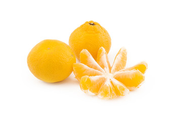 Three Orange mandarines on a white background