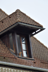 chaton à la fenêtre