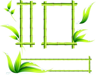 bamboo border elements