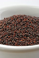 brown mustard seeds are tiny round seed
