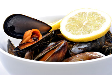 cooked organic mussel served on a white plate