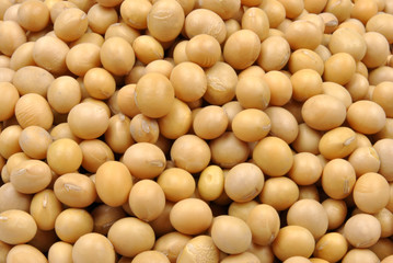 organic soya beans are a good alternative to meat