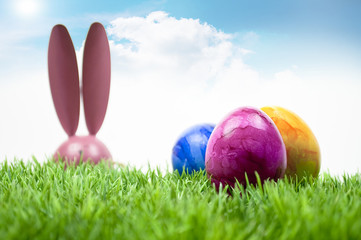 Osterhase hinter einer Wiese mit Ostereiern