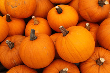 Halloween Pumpkins